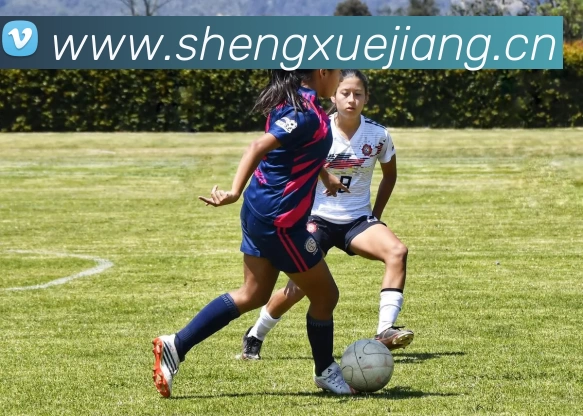 hth官网入口 | 专业的品牌展示与创新服务APP 高清赛事图